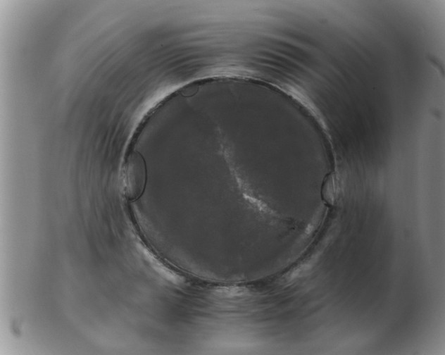 X0000103311037200809122047