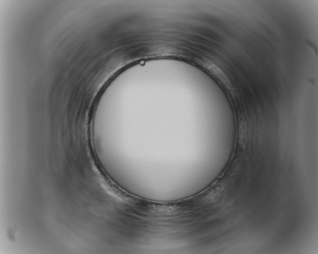 X0000103311039200809122047