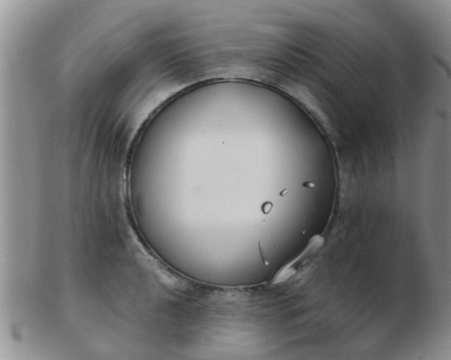 X0000103311040200809122047