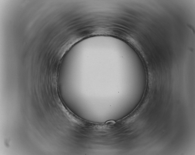 X0000103311041200809122047