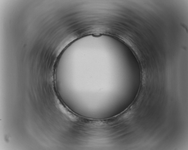 X0000103311042200809122047