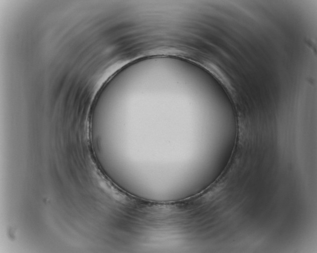 X0000103311044200809122047