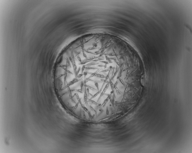 X0000103311045200809122047