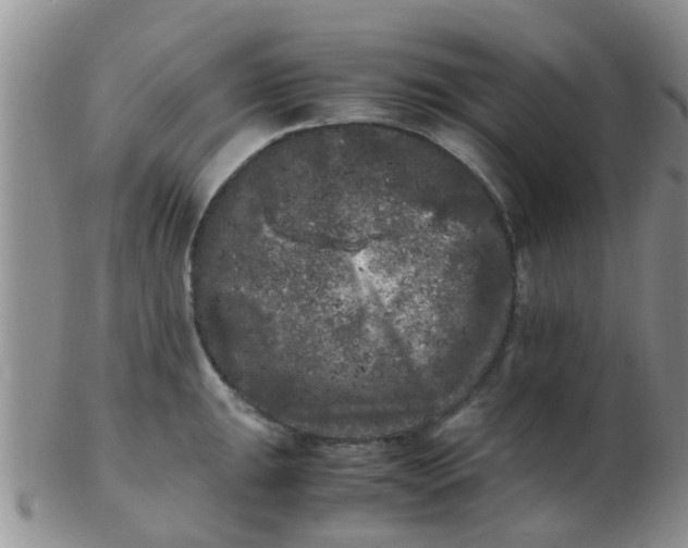 X0000103311047200809122047