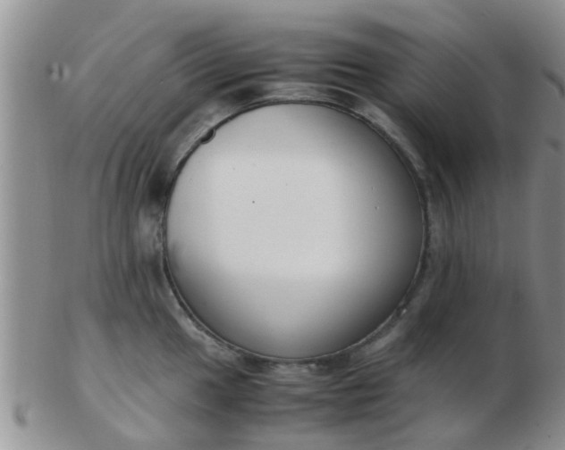 X0000103311049200809122047