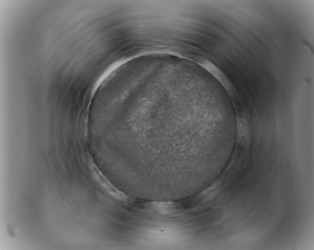 X0000103311052200809122047