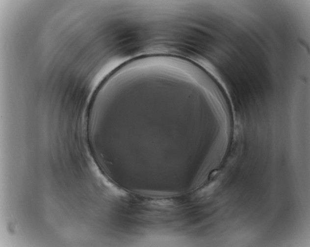 X0000103311053200809122047