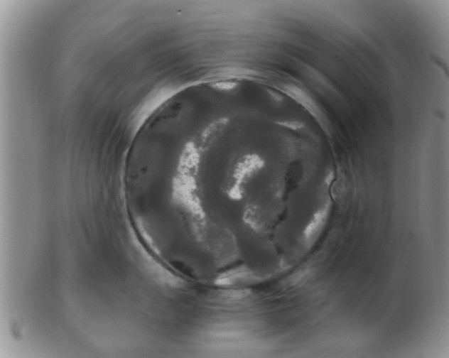 X0000103311055200809122047