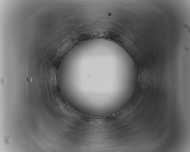 X0000103311058200809122046