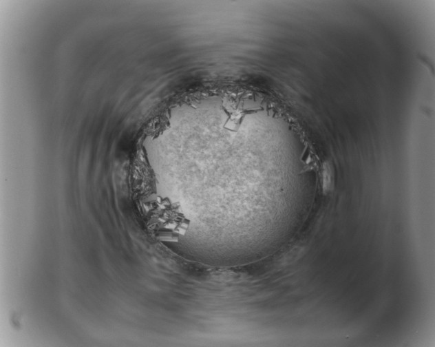 X0000103311059200809122046
