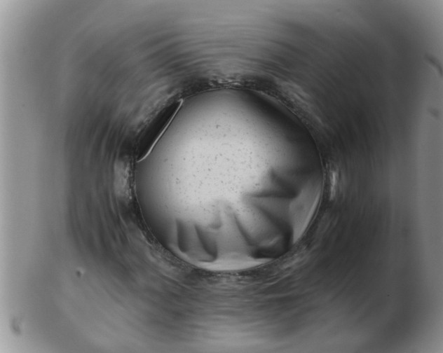 X0000103311060200809122046
