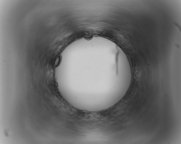 X0000103311061200809122046