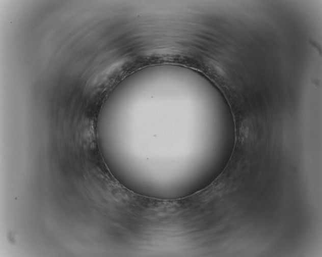 X0000103311062200809122046