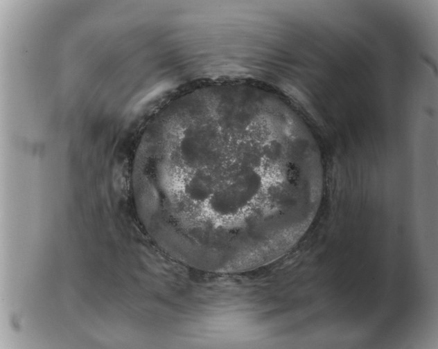 X0000103311063200809122046