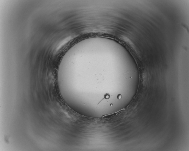 X0000103311064200809122046