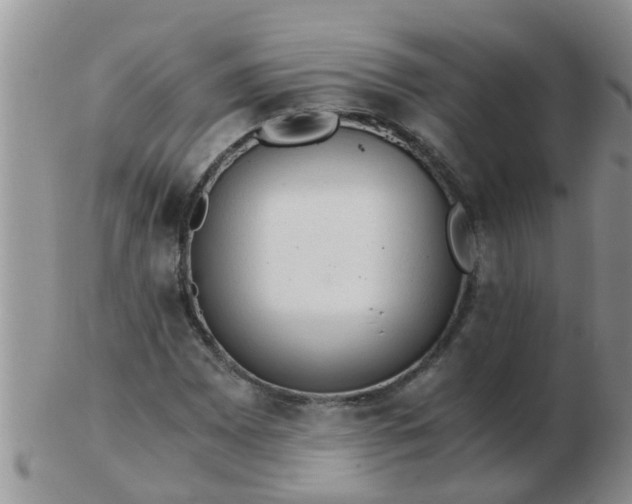 X0000103311065200809122046