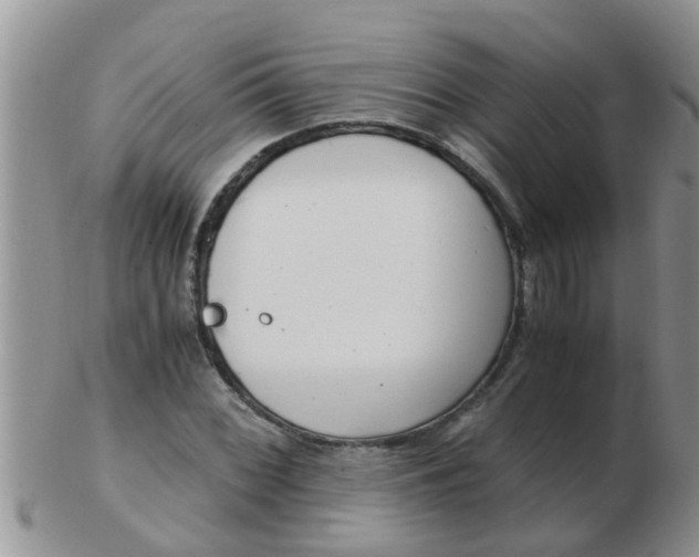 X0000103311068200809122046