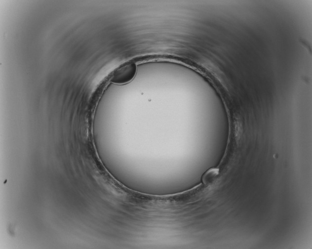 X0000103311069200809122046