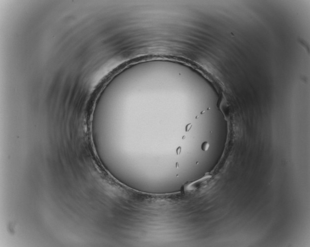 X0000103311070200809122046