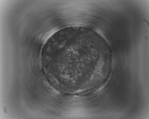 X0000103311071200809122046