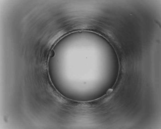 X0000103311073200809122046