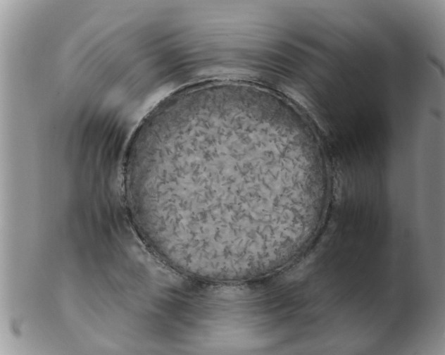 X0000103311074200809122046