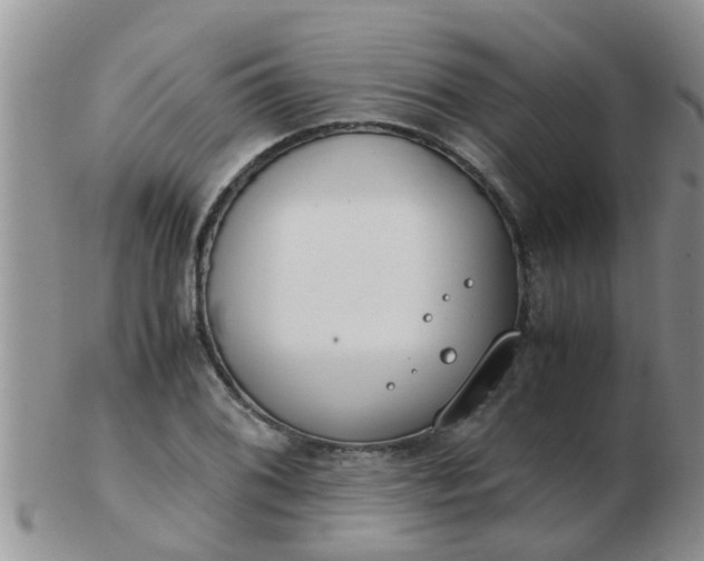 X0000103311076200809122046