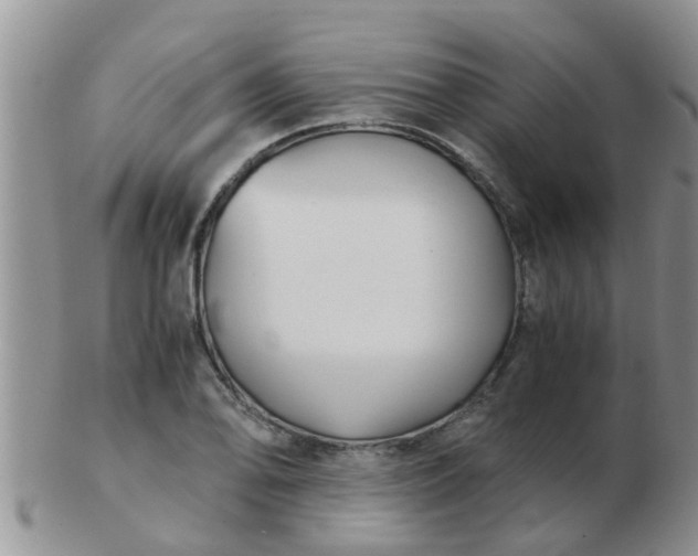 X0000103311078200809122046