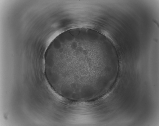 X0000103311079200809122046