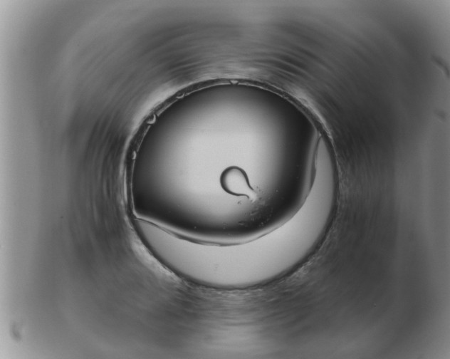 X0000103311080200809122046