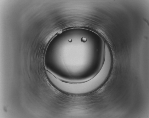 X0000103311081200809122046