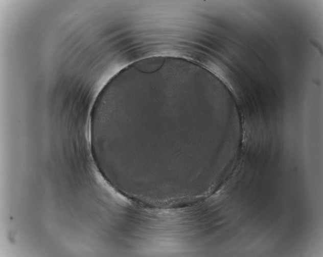 X0000103311084200809122046