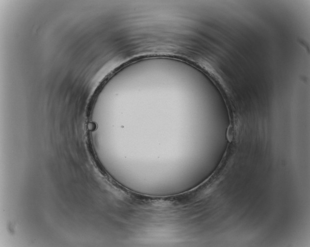 X0000103311085200809122046