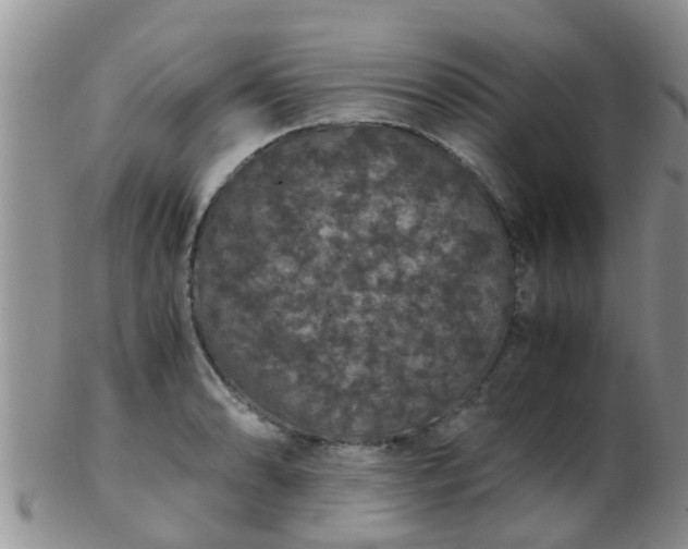 X0000103311086200809122046