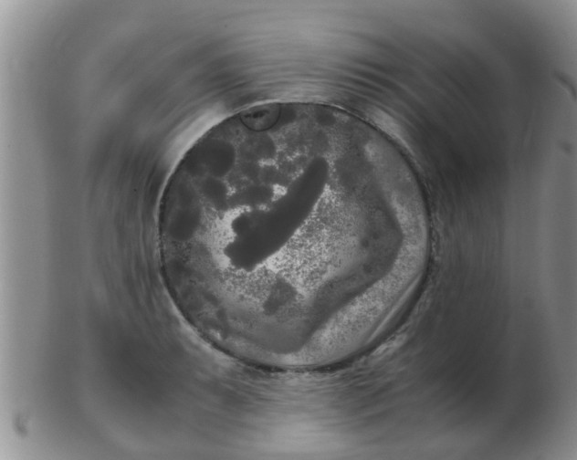 X0000103311087200809122046