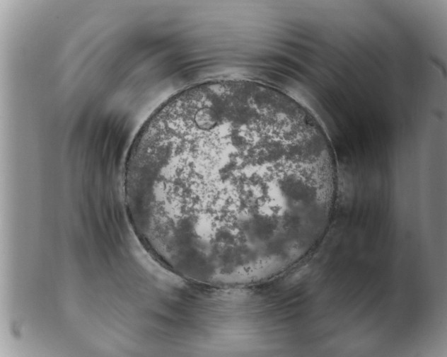 X0000103311090200809122046