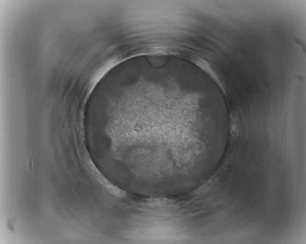 X0000103311091200809122046