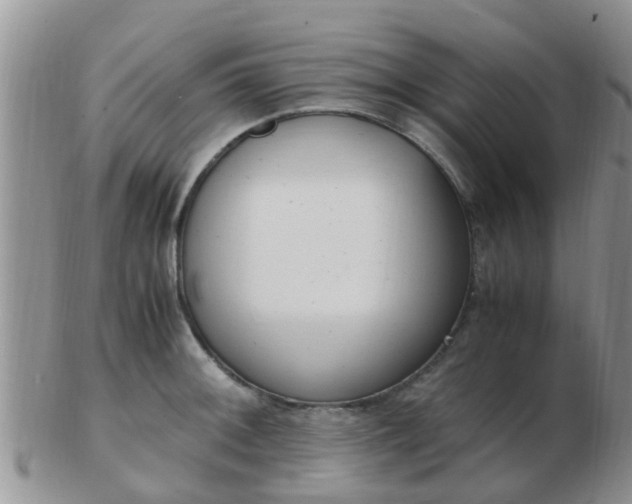 X0000103311092200809122046