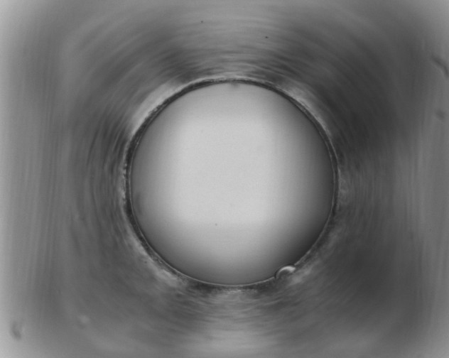 X0000103311093200809122046