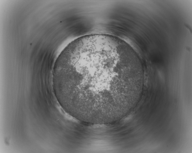 X0000103311094200809122046