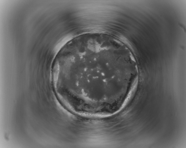 X0000103311095200809122046