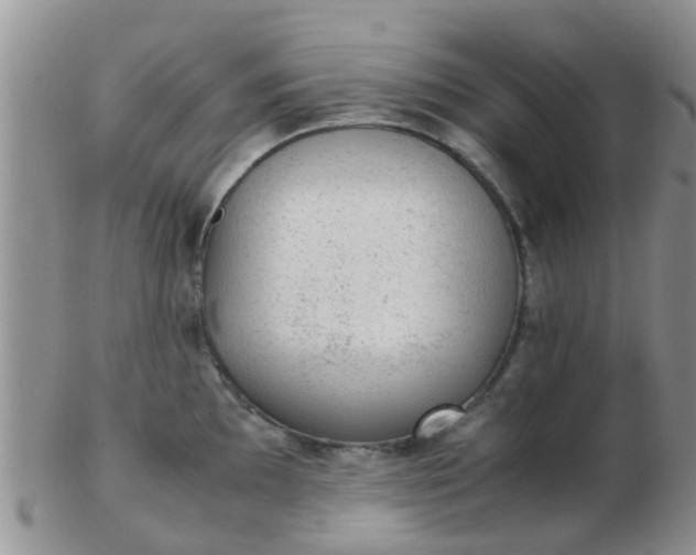 X0000103311097200809122046