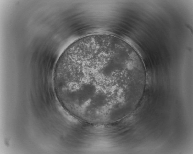 X0000103311098200809122046