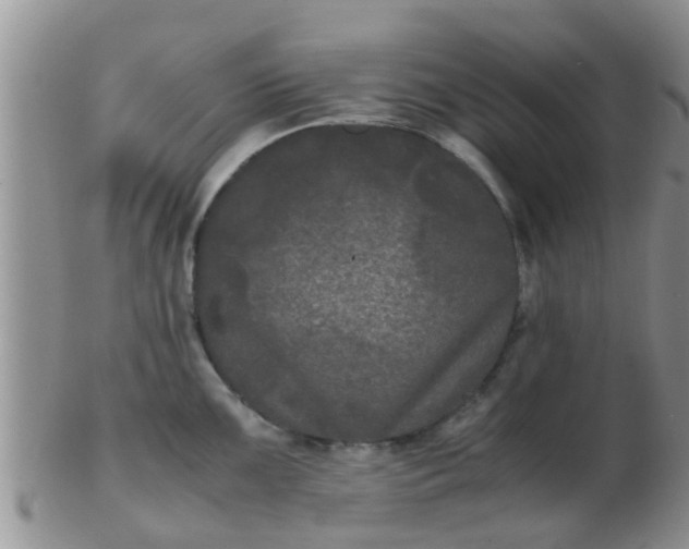 X0000103311099200809122046