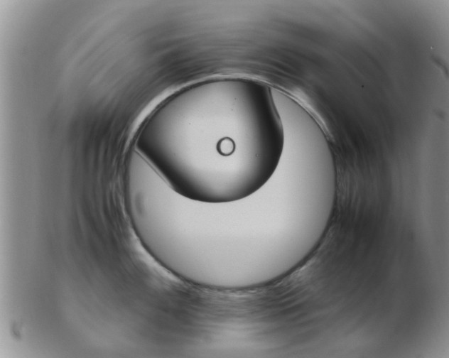 X0000103311100200809122046