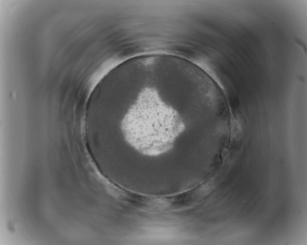 X0000103311101200809122046