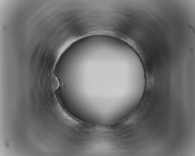 X0000103311102200809122046