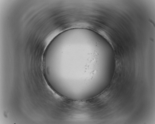 X0000103311103200809122046