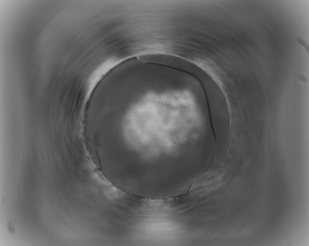 X0000103311104200809122046