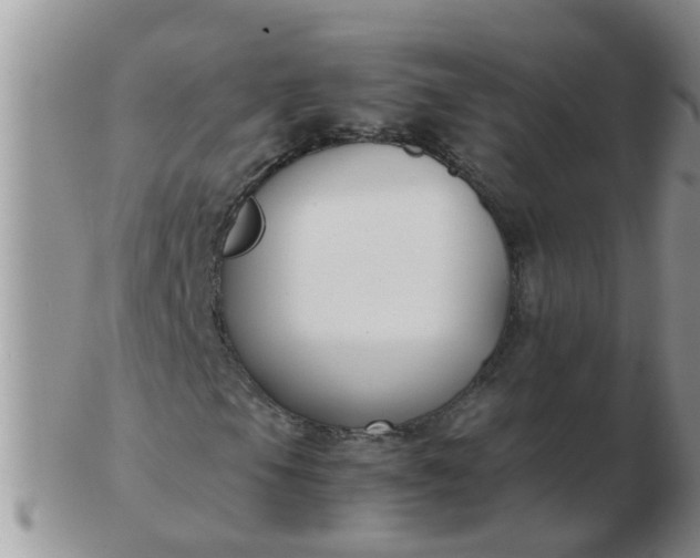 X0000103311105200809122045
